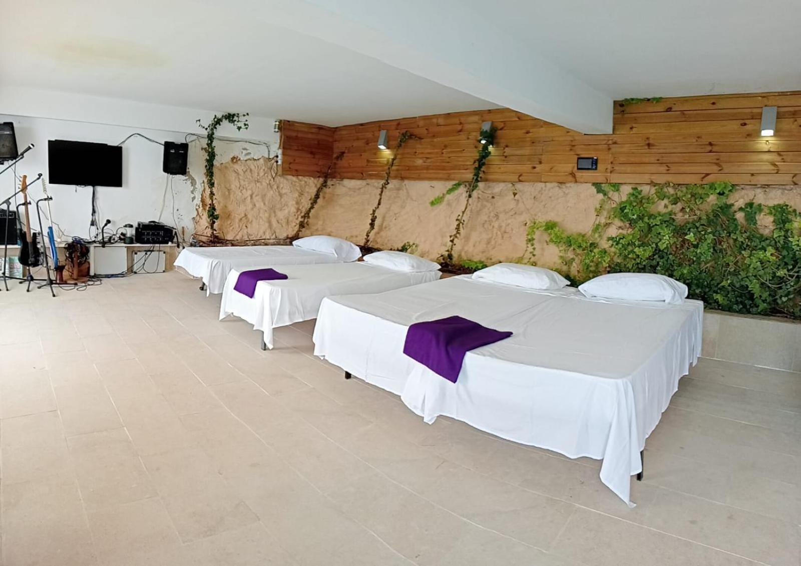 Exclusive Seafront Villa,Private Pool,Gym,Bbq Khu phố El Toro Ngoại thất bức ảnh